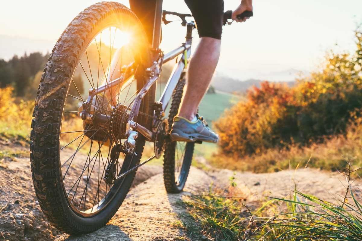 Mécanisme vélo électrique